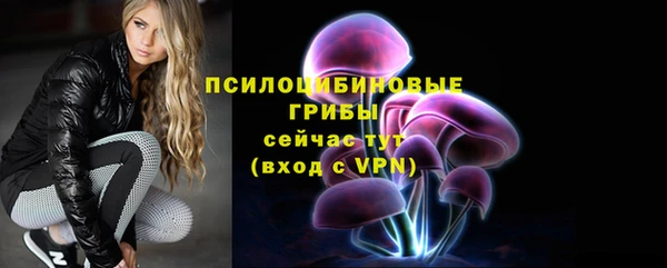 mdma Каменка