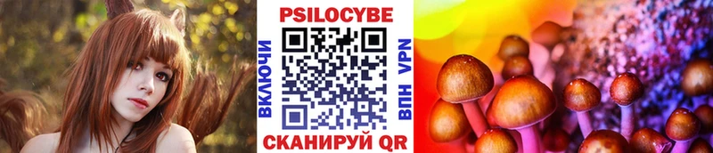 Купить  Грязовец  Галлюциногенные грибы мицелий 